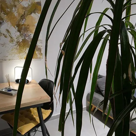 Contact Апарт-отель Тирана