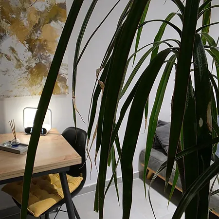 Апарт-отель Contact